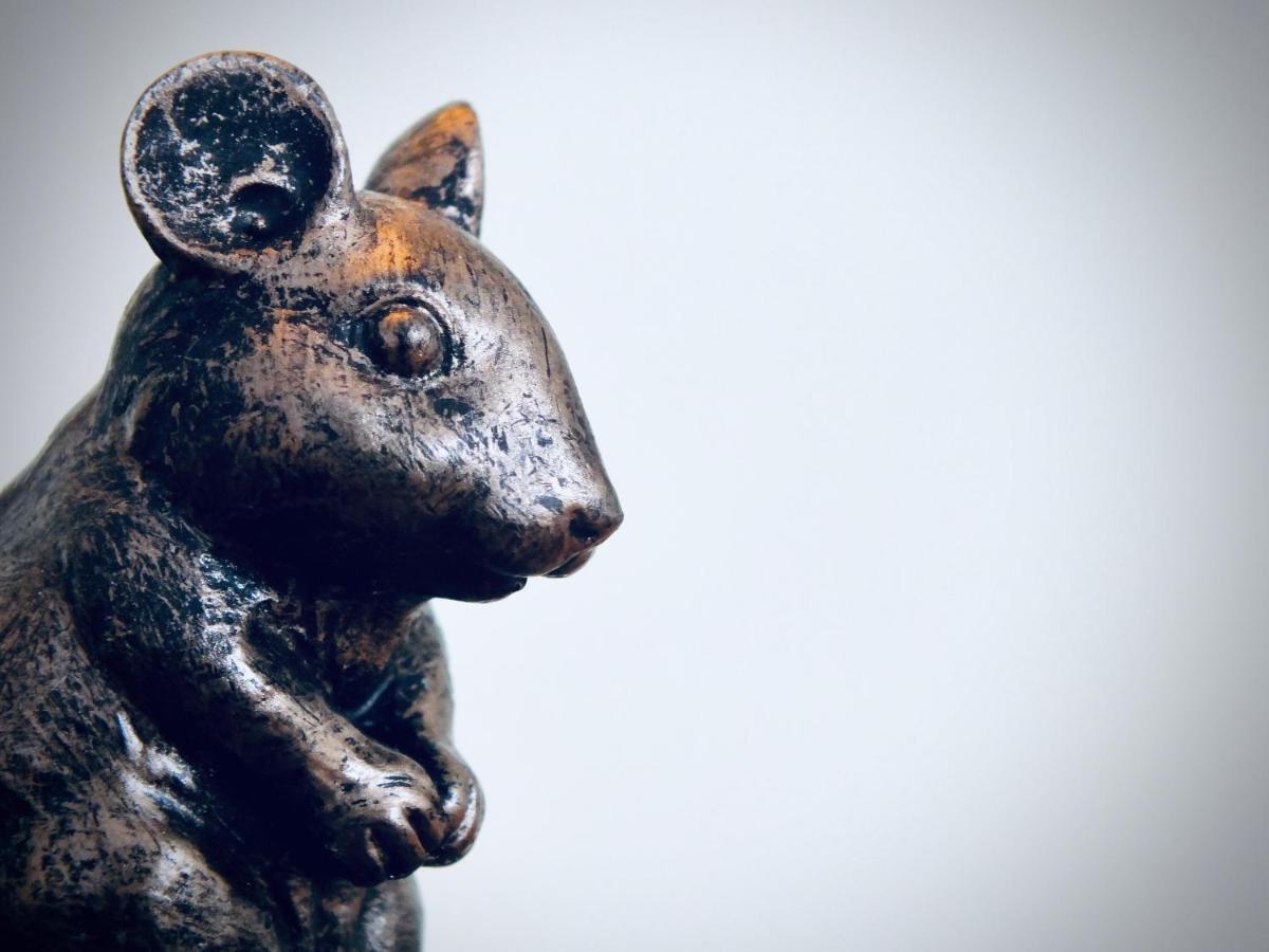 فندق The Devonian إلفراكومبْ المظهر الخارجي الصورة